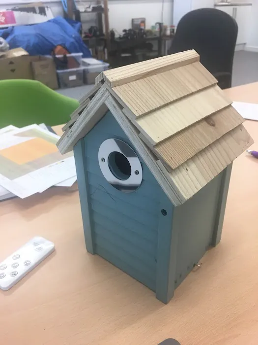 Inspired Wildlife Picture 2