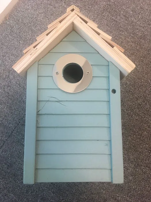 Inspired Wildlife Picture 4