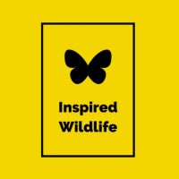 Inspired Wildlife ico