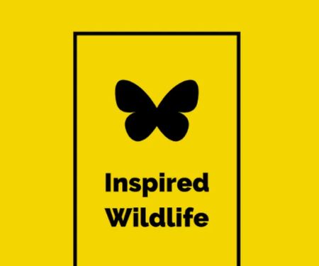 Inspired Wildlife