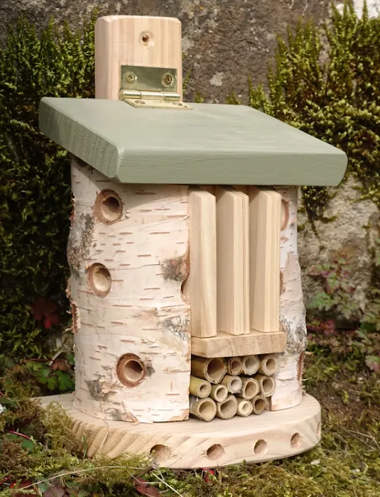 Inspired Wildlife Picture 3