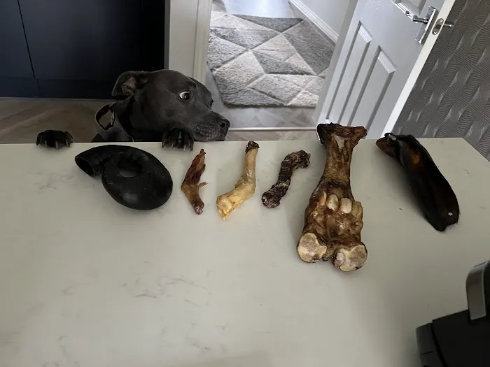 Doberfields Picture 4