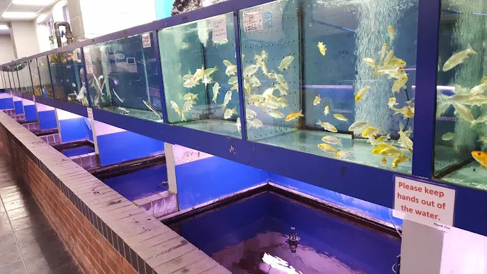 Wharf Aquatics Ltd Picture 3