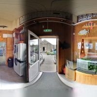 Wharf Aquatics Ltd ico