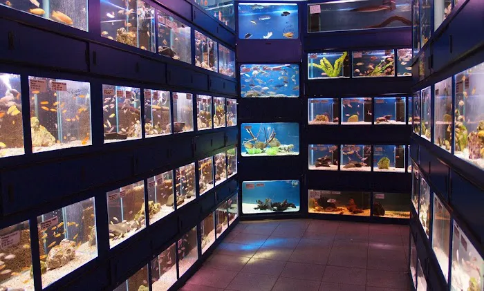 Wharf Aquatics Ltd Picture 2