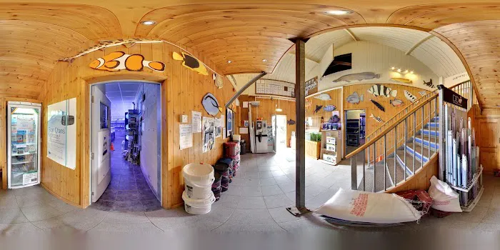 Wharf Aquatics Ltd Picture 5