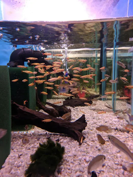 Wharf Aquatics Ltd Picture 6