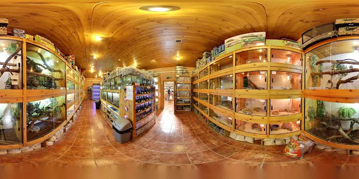 Wharf Aquatics Ltd Picture 4