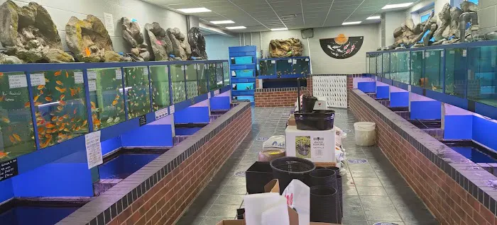 Wharf Aquatics Ltd Picture 9