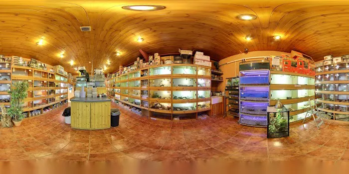 Wharf Aquatics Ltd Picture 7