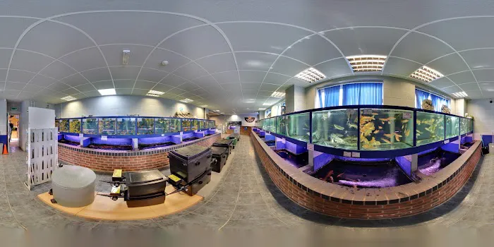 Wharf Aquatics Ltd Picture 10