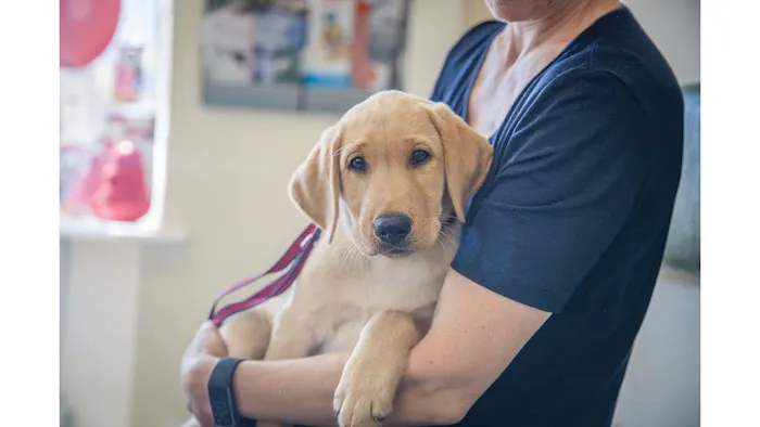 Mearley Veterinary Group Picture 1