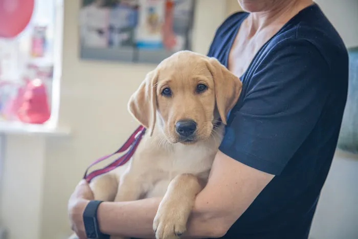 Mearley Veterinary Group Picture 8