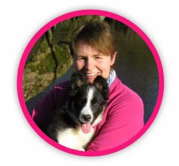 Vets for Pets - Colne Picture 4