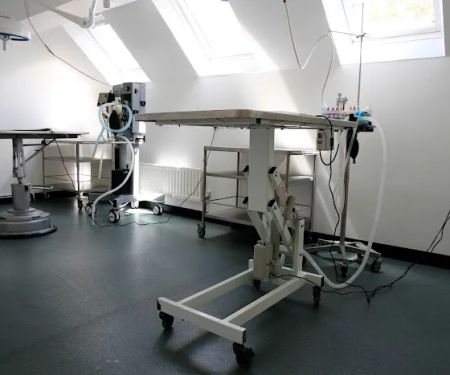 Cedarmount Veterinary Clinic