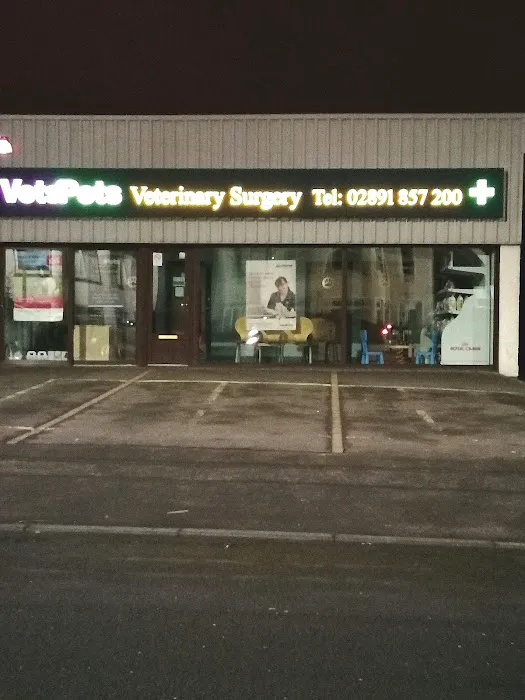 Vets for Pets - Bangor Picture 8