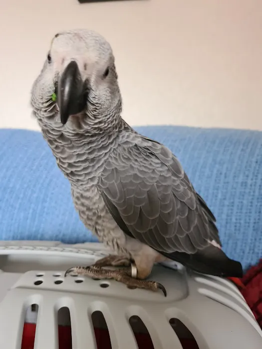 Adlington Pet Centre Ltd Picture 1