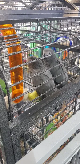 Adlington Pet Centre Ltd Picture 2