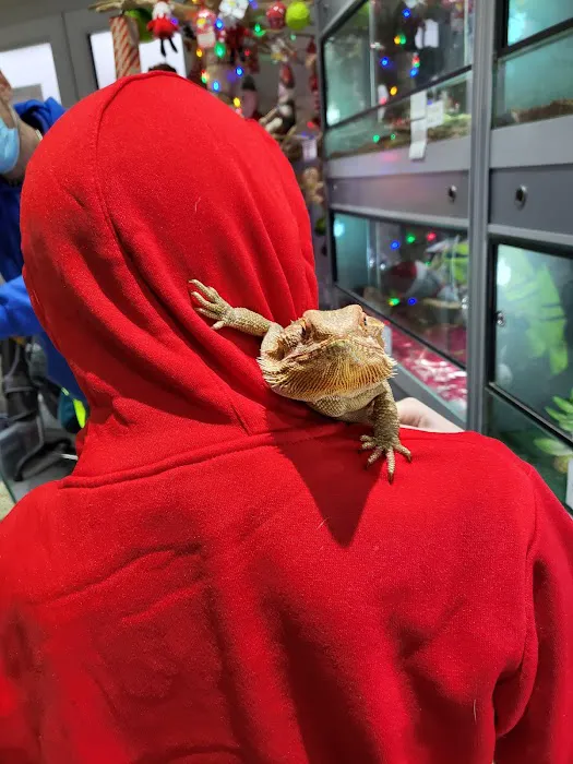 Adlington Pet Centre Ltd Picture 6