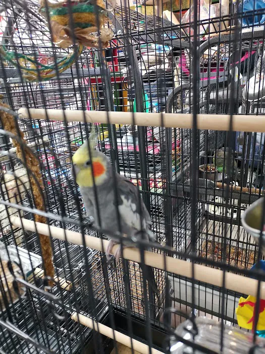 Adlington Pet Centre Ltd Picture 4