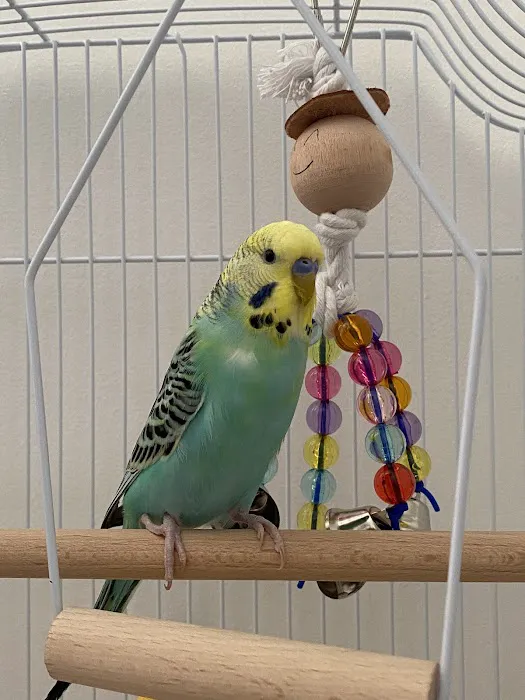 Adlington Pet Centre Ltd Picture 10