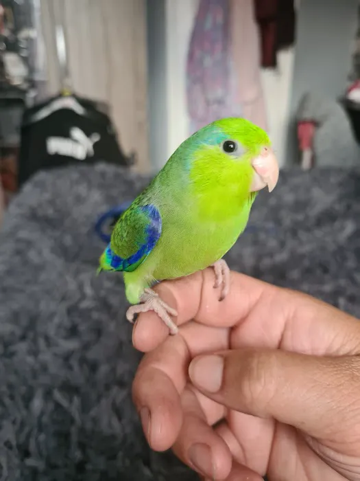 Adlington Pet Centre Ltd Picture 7