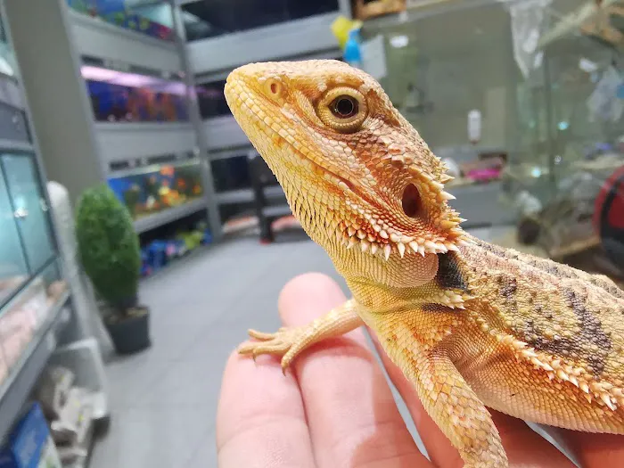 Adlington Pet Centre Ltd Picture 8