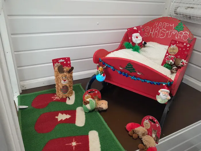 Cavendish Cattery Boarding House Picture 10