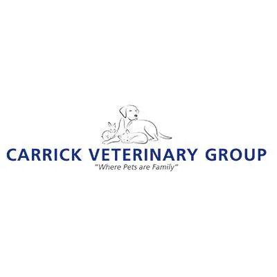 Carrick Veterinary Group - Mansfield Picture 4