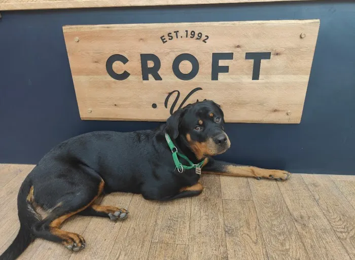 Croft Veterinary Centres - Bolsover Picture 7
