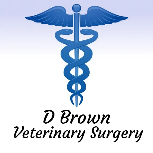 D Brown Veterinary Surgery Picture 4