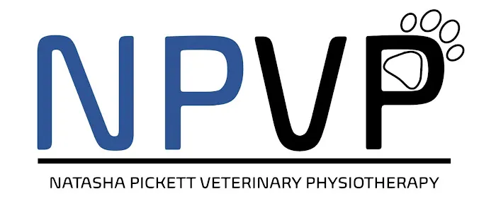 Natasha Pickett Veterinary Physiotherapy Picture 1
