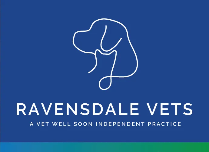 Ravensdale Vets Picture 4