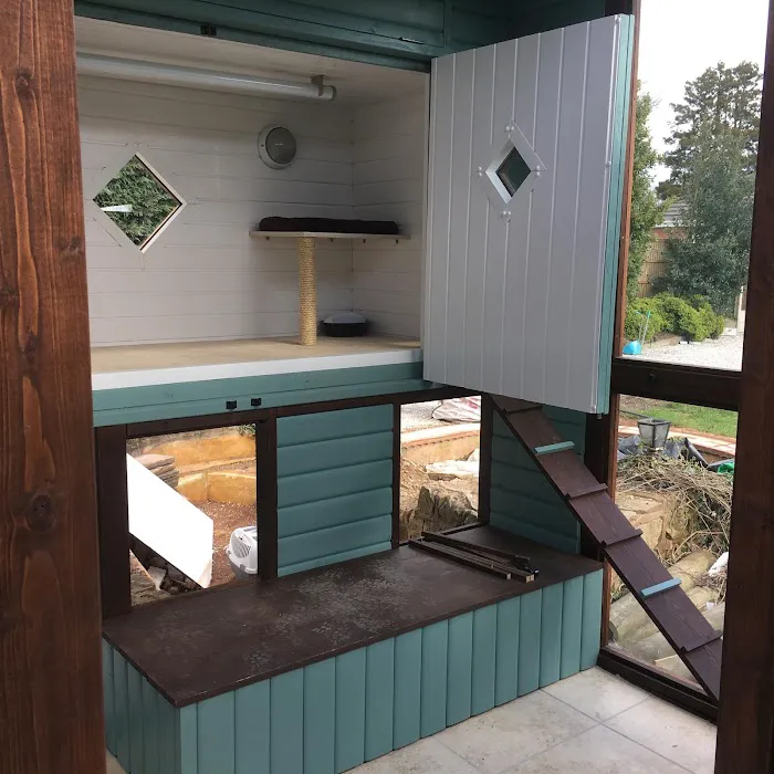 Lime Grove Cattery Picture 3