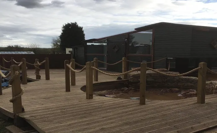 Lime Grove Cattery Picture 10