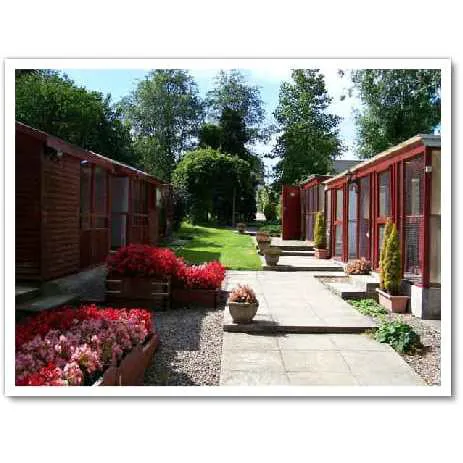 Almora Cattery Picture 1