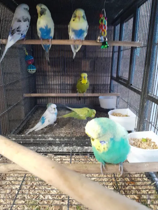 AZZERS AVIARY Picture 2