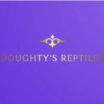 Doughty's Reptiles