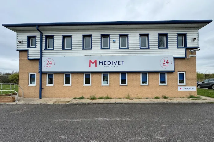 Medivet 24 Hour Dearne Valley Picture 3