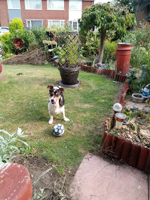Vets SHEPS Picture 1