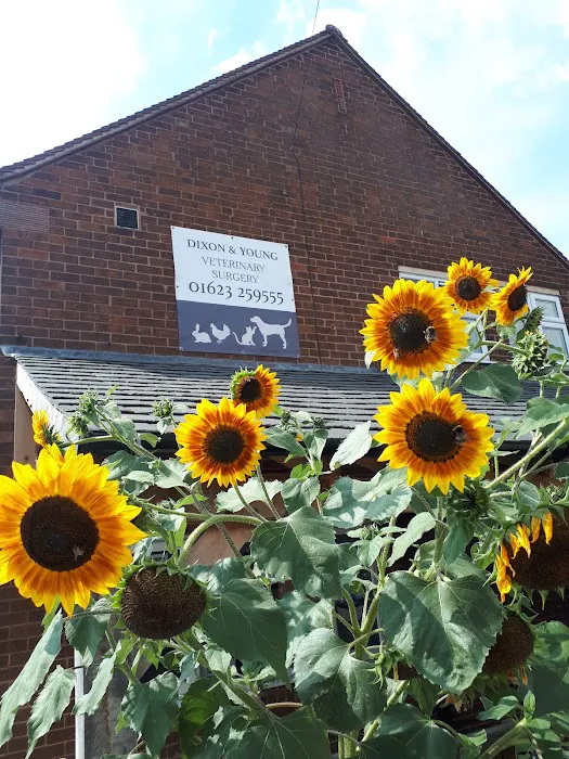 Dixon and Young Veterinary Surgery Picture 10