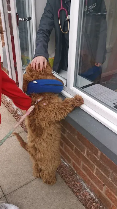 Dixon and Young Veterinary Surgery Picture 4