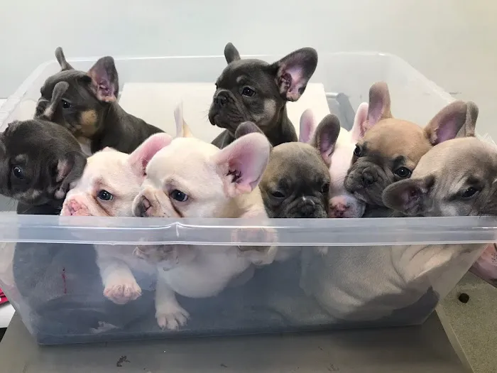 Minster Veterinary Centre Picture 6