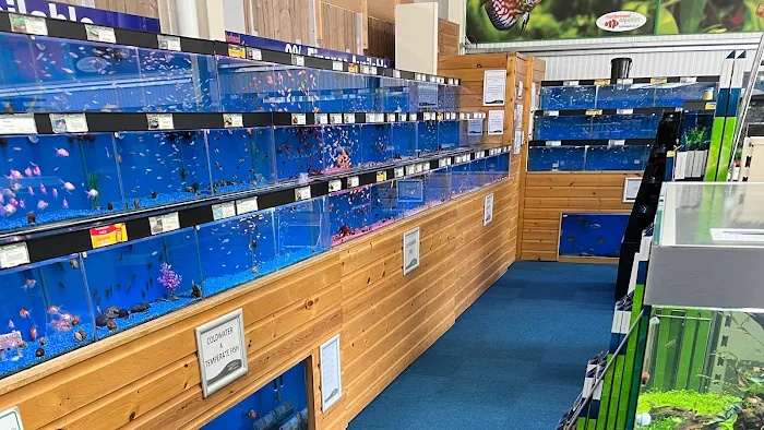 Maidenhead Aquatics Grantham Picture 7