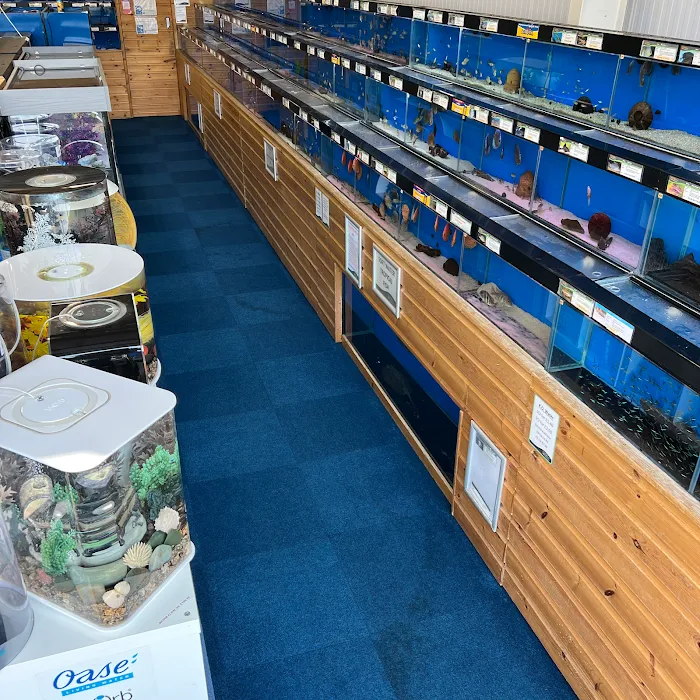 Maidenhead Aquatics Grantham Picture 10