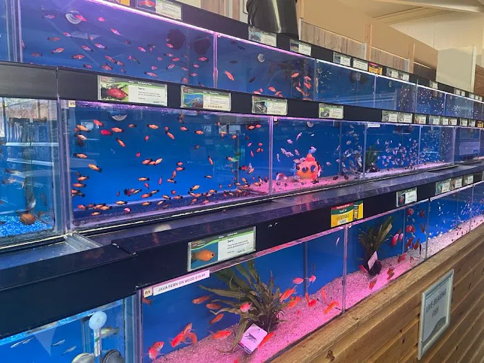 Maidenhead Aquatics Grantham Picture 1