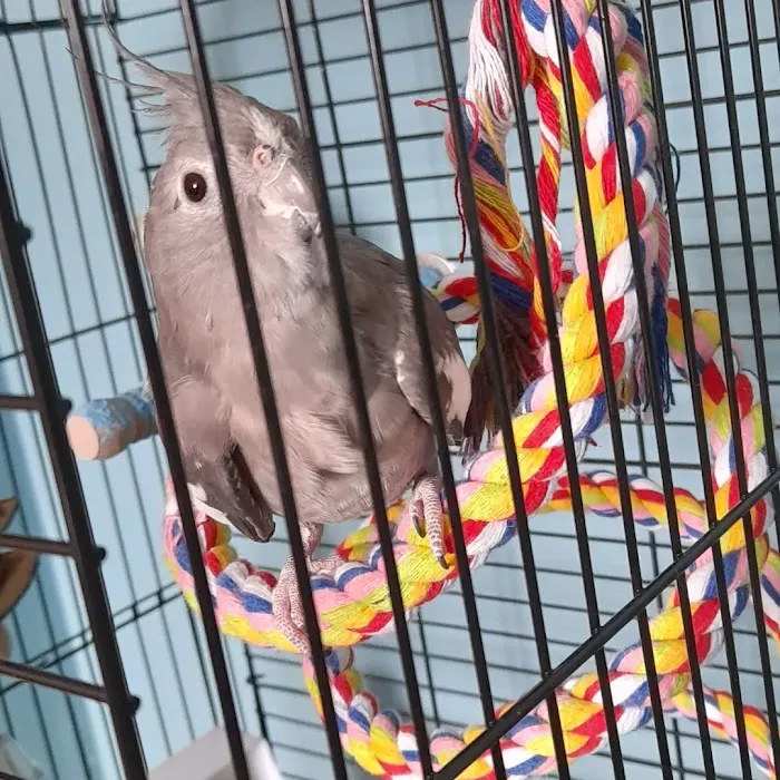 Ace Pet Stores Picture 2