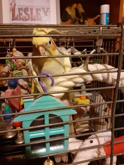 Ace Pet Stores Picture 1