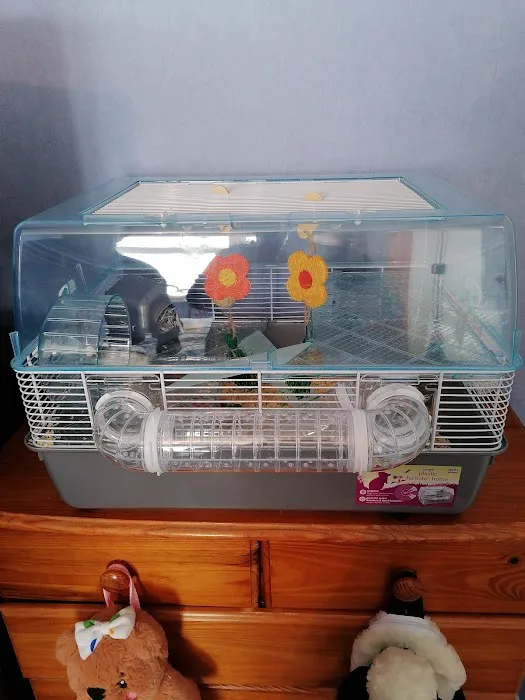 Pets at Home Grantham Picture 2