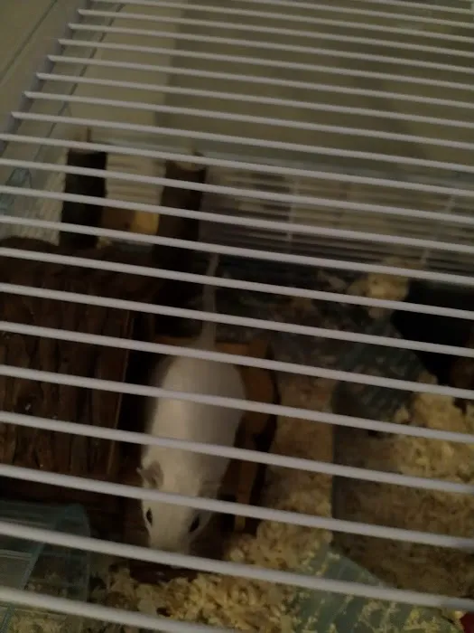 Pets at Home Grantham Picture 1